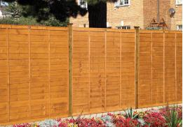 Tafs Standard Lap Fence Panel